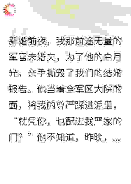 退婚后，我成了军官的心尖痣
