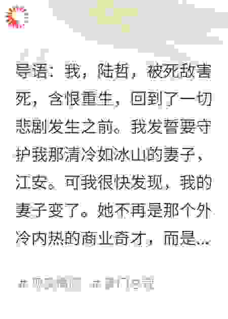 重生后，我那冰山总裁老婆竟是异界穿越来的