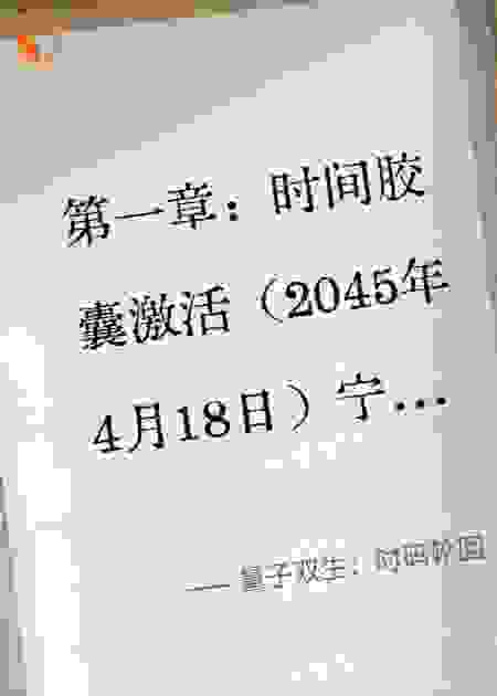 量子双生：时码轮回