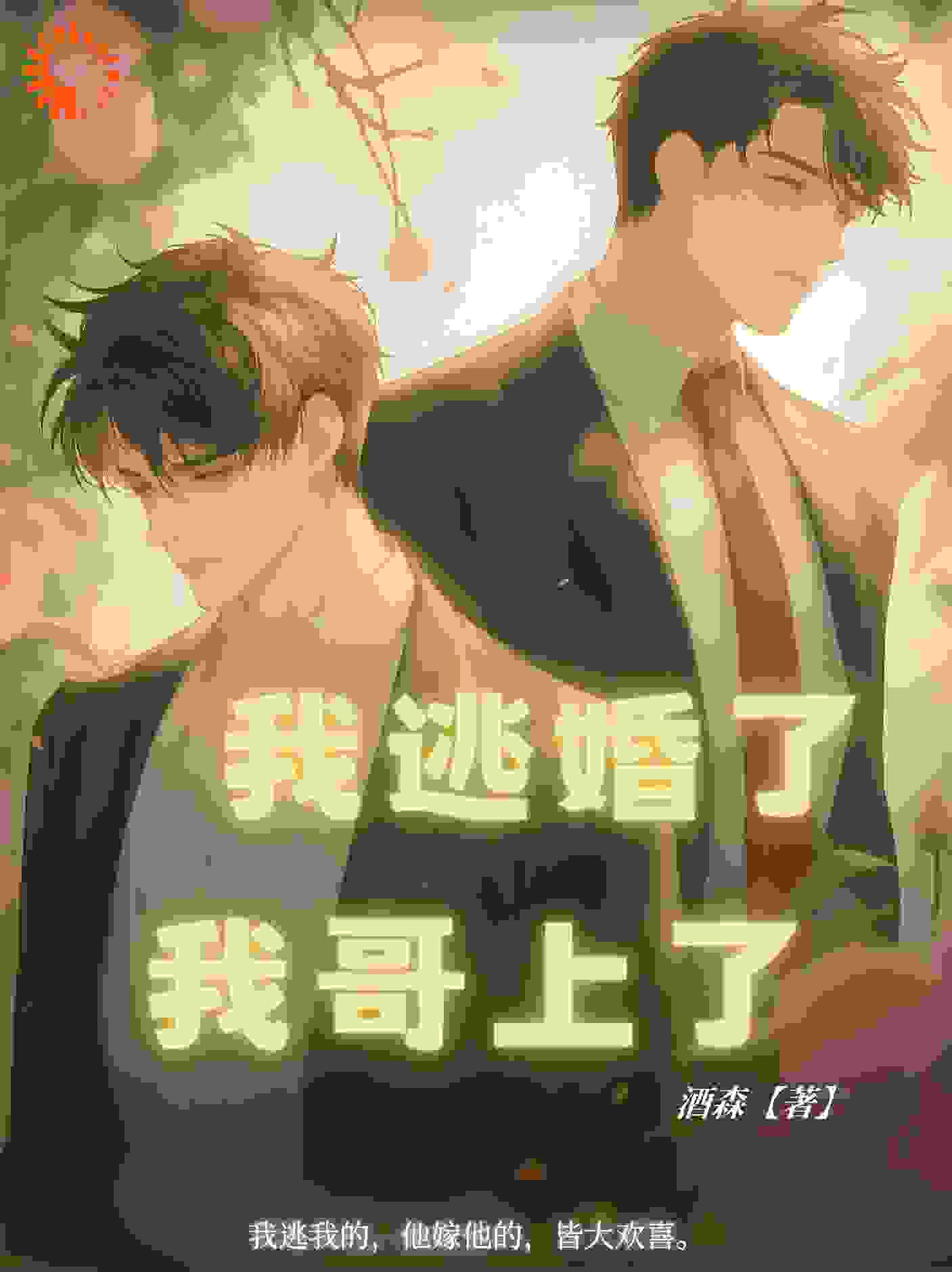 我逃婚了，我哥上了