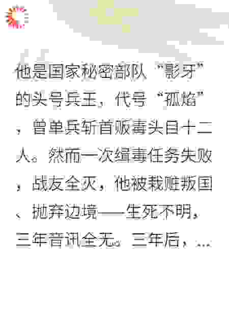 东南兵神：血战金三角