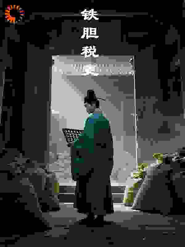 铁胆税吏